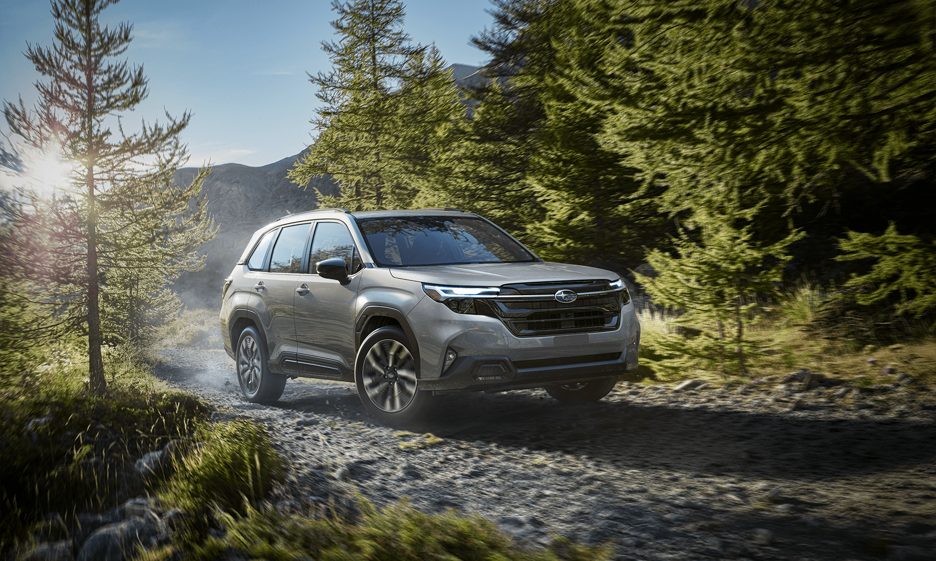 FORESTER